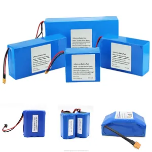 Oem 18650 12V 24V 36V 48V 60V 72V 7ah 10ah 12ah 18ah 20ah 30ah 40ah 50ah 60ah 70ah 80ah Lifepo4 Lithium Li-Ionbatterij