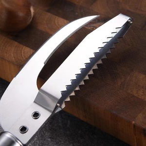 Descamador de Pescado de Acero Inoxidable, Cuchilla de 10 cm, Herramienta Multiusos Resistente para Limpiar Mariscos - Product Image 1