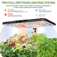 Système de culture hydroponique multi-niveaux pour légumes, support de culture sans sol en plastique, dispositif de culture de légumes intelligent modulaire pour bureau
