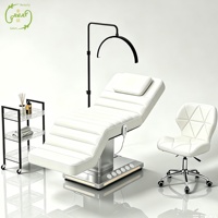 Lit de massage électrique réglable de luxe pour salon de beauté et SPA, avec sac de transport, idéal pour les soins esthétiques et les extensions de cils