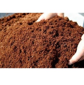Turba de coco de alta calidad, precio competitivo (WS + 84354962020) - Product Image 1