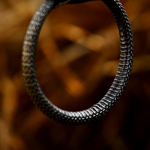 Collana con Ciondolo a Forma di Serpente SS8-767P, Nuova Moda Punk in Acciaio Inossidabile, <span class=keywords><strong>Gioielli</strong></span> da Motociclista per Uomo, Vendita all'Ingrosso - Product Image 4