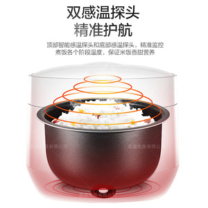 Sinko Electric Rice Cooker 5.1-6.0L Microcomputer Control Smart Multi-functional Timer Fast Soup Cooking - Product Image 4