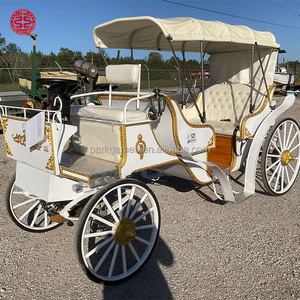 Caleches Touristique Cheval Européen Dessiné Charrettes Wagon Transport Citrouille Mariage Calèche Électrique - Product Image 6