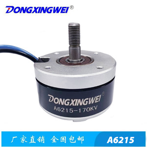 มอเตอร์ไร้แปรงถ่านแบบโรเตอร์ภายนอก Dongxingwei รุ่น 6215 36V 1.7Nm แรงบิดสูง สำหรับเครื่องตัดหญ้า - Product Image 4