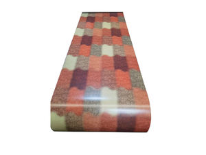 Ppgi ppgl रंग लेपित प्रीपेंटेड गैल्युम/गैल्वेनाइज्ड स्टील अल्युजस्ता - Product Image 5