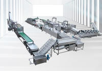 Prijs van een productielijn voor aardappelchips / proces voor de productie van aardappelchips