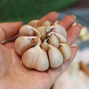 Nueva cosecha orgánica fresca rojo normal púrpura puro <span class=keywords><strong>ajo</strong></span> blanco precio de mercado <span class=keywords><strong>chino</strong></span> <span class=keywords><strong>Ajo</strong></span> Alho ajos para alimentos al por mayor <span class=keywords><strong>ajo</strong></span> mundo - Product Image 4