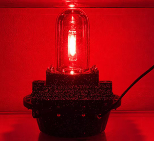 ไฟล่อปลาหมึก Osum LED IP68 450W ไฟตก<span class=keywords><strong>ปลา</strong></span>ใต้น้ำ สีขาว หลายสี กันน้ำ สำหรับจับปลาในทะเล - Product Image 3