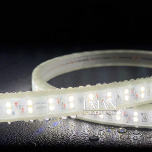 Bande lumineuse <span class=keywords><strong>LED</strong></span> flexible imperméable IP65 pour extérieur, SMD2835, bande lumineuse serpent, 100 m de long, avec contrôleur <span class=keywords><strong>LED</strong></span> pour les chantiers de construction - Product Image 3