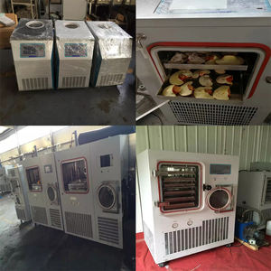 Prix du lyophilisateur pour petit laboratoire domestique, flacon de venin de scorpion - Product Image 3