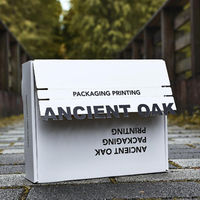 Boîte d'avion en papier ondulé personnalisée avec bande déchirable, fermeture à glissière, emballage postal express pour crème contour des yeux, doublure en éponge