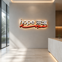 Panneau LED miniature personnalisable, logo d'entreprise, fond mural, acrylique, verre gravé, lettres lumineuses, multicolores