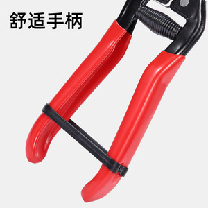 Long Straight-Tipped Pruning Shears Steel Blade Bypass Type For Fruit Vegetable Grape Picking Zhejiang Origin - Product Image 4