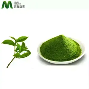 OEM शीर्ष ग्रेड हलाल को मंजूरी दी Matcha पाउडर चाय निजी लेबल Matcha चाय पाउडर