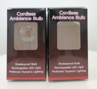 Lampe à LED de type C Forme d'éclair Rechargeable Luminosité à trois niveaux Lumière blanche chaude Déplacement facile Veilleuse à LED Atmosphère légère