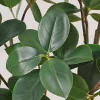 Künstlicher Polyscias Balfouriana Baum, Künstliche Grüne Aralia-Pflanze im Topf für Heim, Büro, Hotel, Innenlandschaftsgestaltung und Dekoration