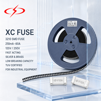 Fusible XC 3210 10x3.2mm 250mA-60A AC/DC 125V/250V à action rapide basse tension certifié TUV en argent et laiton pour équipement industriel