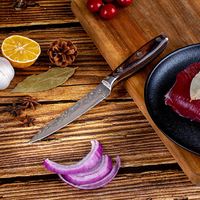 Ensemble de couteaux de cuisine professionnels en acier inoxydable 3Cr13 à motif martelé, 2 pièces, avec manche en bois Pakka