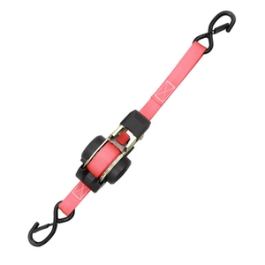 Sangles à <span class=keywords><strong>cliquet</strong></span> rétractables multicolores de 1 pouce x 10 pieds, résistance à la rupture de 1500 livres, sangles de cargaison en polyester, crochet en S - Product Image 3