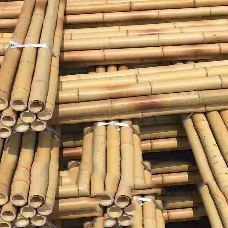 Chinesische Bambusstangen Natrlicher Bambus Grohandel Verschiedene Gren  von Bambusstangen| Alibaba.com