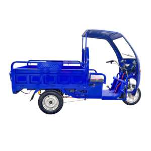 Triciclo de Carga, Triciclo Eléctrico de Alta Eficiencia, Nuevo Triciclo Eléctrico al por Mayor, Motocicleta Triciclo Eléctrica de 850W-1000w, Triciclo de 3 Ruedas - Product Image 4