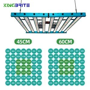 Nuovissimo KingBrite X55 650W Samsung LM301H/LM281B + Epistar 660NM UV IR Full Spectrum Led coltiva la luce