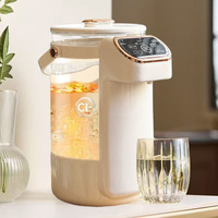 Bouilloire Électrique en Verre Borosilicate Grande Capacité 4L, 800W, Température Réglable, Vente en Gros, Fabrication Personnalisée