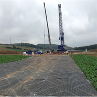 Tapis routier ZSPE en HDPE pour la protection des pelouses et des allées dans les aménagements paysagers