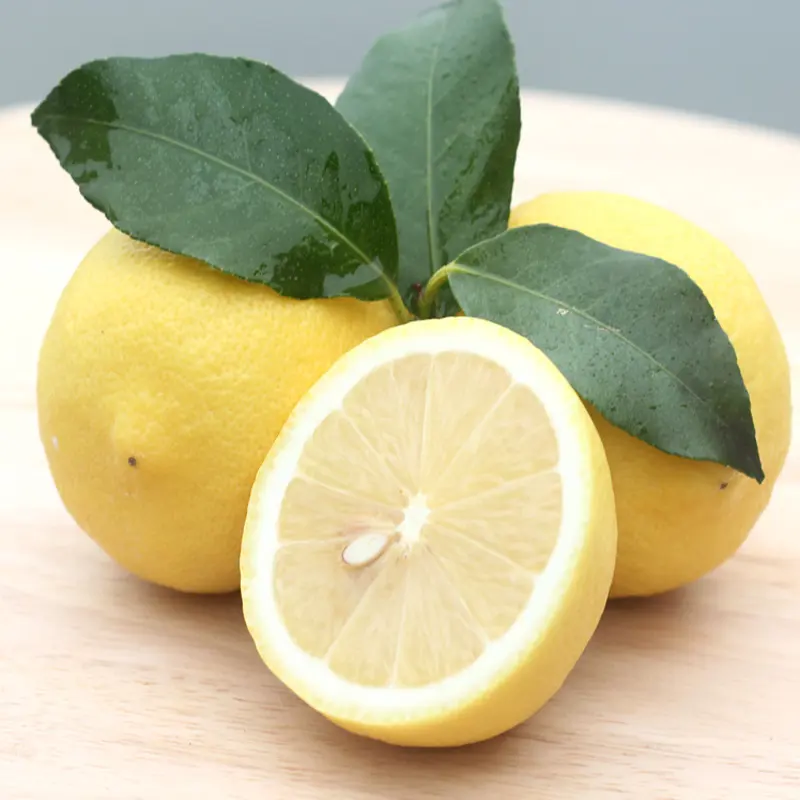Atacado preço barato alta qualidade frutas frescas limão orgânico preço