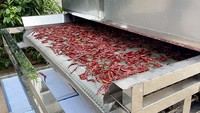 Industriële fruitdrooglijn, fruit snijmachine, chili verwerkingsmachines