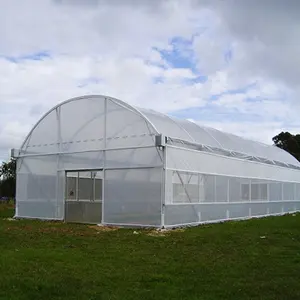 Galvanized Steel Low Cost Tunnel Frame Single Span Pe Film Greenhouse Serre Agricole For Flowers Plant
