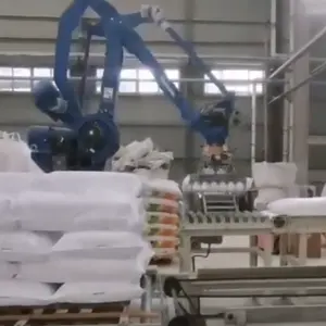 Lengan Robot Biaya Rendah Palletisasi Industri Universal Lengan Robot Otomatis Muatan 190Kg