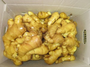 Pemasok Grosir Jahe dan Bawang Putih Produsen Jahe Segar Menjual Grosir dalam Jumlah Besar Tanpa Izin - Product Image 4