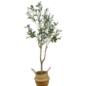 Longueur <span class=keywords><strong>Olivier</strong></span> Artificiel En Pot Décoratif <span class=keywords><strong>Plante</strong></span> Verte Pour Décor À La Maison Artificielle <span class=keywords><strong>Plante</strong></span> Des Arbres - Product Image 1