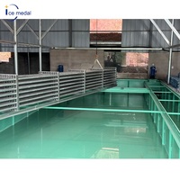 Machine industrielle de fabrication de blocs de glace en saumure 10kg 20kg 50kg – Solution automatique de production de glace pour usine de glace, pêche et refroidissement des fruits de mer