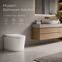 WC intelligent sans réservoir, cuvette carrée moderne, couleur personnalisée gris noir, avec siège chauffant, séchoir à air chaud, drainage S-Trap/P-Trap