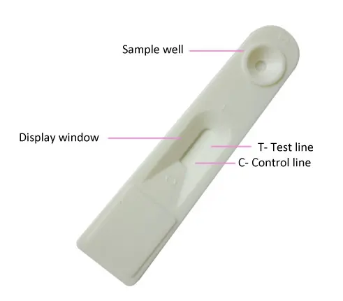 Cassette Zwangerschapstest Voor Schapen Menselijk Ovulatie Lh Test Strip Quick Zwangerschap Strip