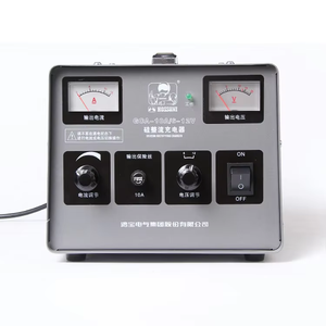 <span class=keywords><strong>GCA</strong></span> Chargeur redresseur en silicone Entrée manuelle Sortie AC DC 12-48V Chargeur de batterie de voiture Bobine en laiton - Product Image 6
