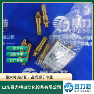 Soupape de sécurité Rieglers 226.01-1,8 103950, pièce de rechange industrielle, Allemagne - Product Image 3