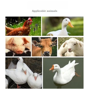 Vitamina K3 de Grado Alimenticio (Bisulfito de Sodio Menadiono, MSB) 50% CAS 58-27-5 Aditivo <span class=keywords><strong>para</strong></span> Alimentación Animal - Product Image 3