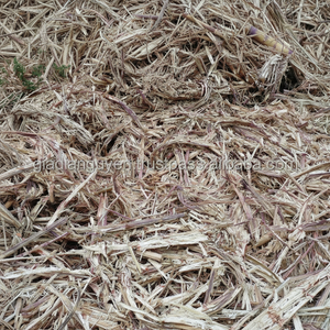 ชานอ้อยอัดก้อนและขยะทางการเกษตร-GIA Nguyen Co. จำกัดเวียดนาม - Product Image 1
