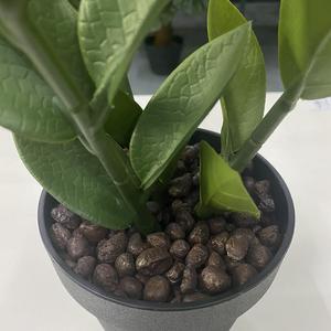 Piccola foglia artificiale di Zamioculcas Zamiifolia Bonsai per decorazione da tavola prodotto vegetale di qualità Premium - Product Image 2