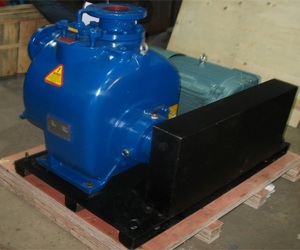 Bomba de Agua Autocebante Lanco Serie P-8 de 10hp 37kw 60Hz para Riego de Aguas Residuales, Uso Agrícola e Industrial, con Certificación CE - Product Image 5