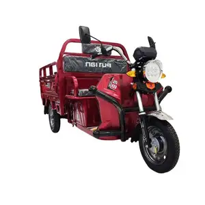 Factory Price Three Wheel Cheapelectrictricycle 2 Seater 45 Kmh Car 3 Wheeler Bike Electric Tricycle