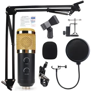 Usine super qualité équipement de studio d'enregistrement micro Économique home studio microphone