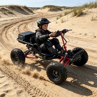 Kart électrique tout-terrain haute puissance avec moyeu de roue en alliage plein de 10 pouces et freins à disque électriques hydrauliques pour herbe et plage