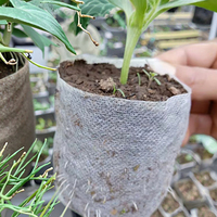 Sac d'ensemencement en PLA plat mélangé de fibres de maïs personnalisées sac biodégradable pour l'ensemencement de pépinière et la plantation en serre
