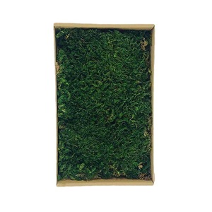 Dream Castle - Césped de Musgo Preservado, Musgo Gris Grande, Pared Vegetal Verde, Decoración de Flores Secas en Caja - Product Image 4