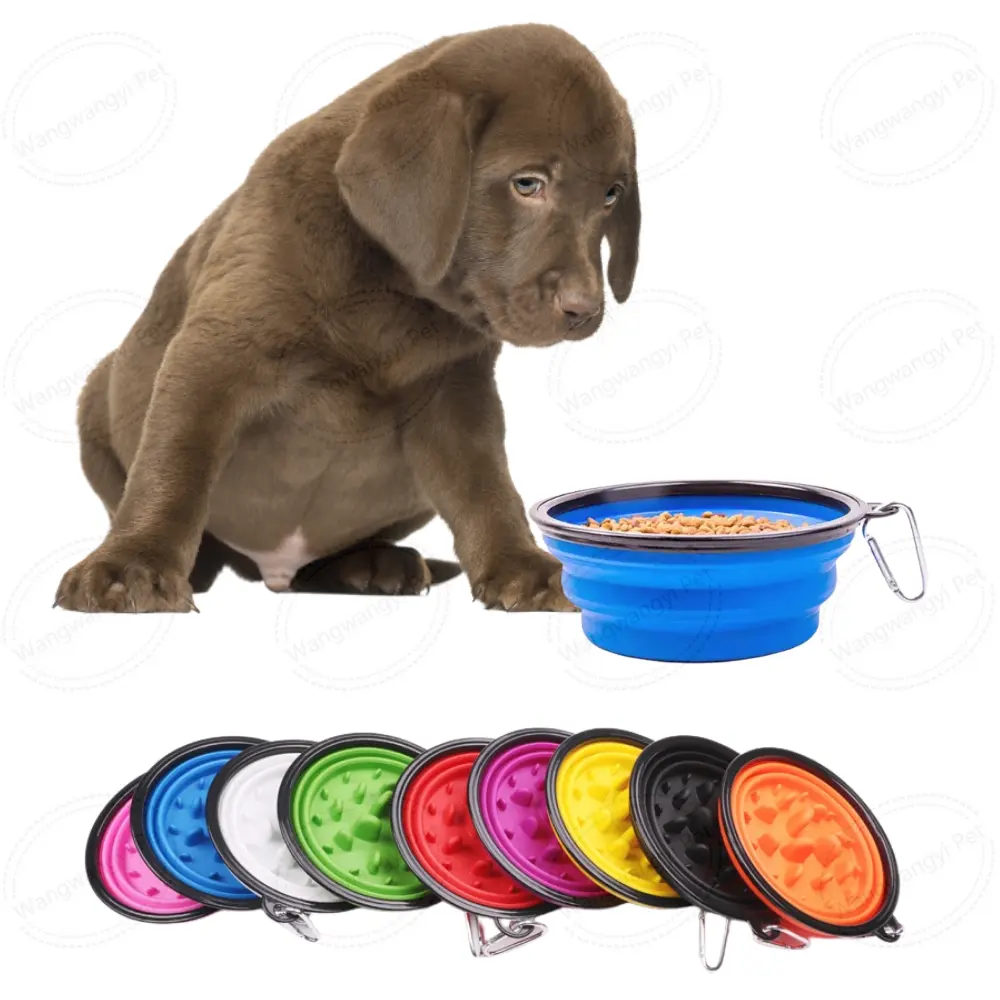 Factory Wholesale Collapsible Dog Slow Feeder Bowl Portable Dog Bowl with Carabiner